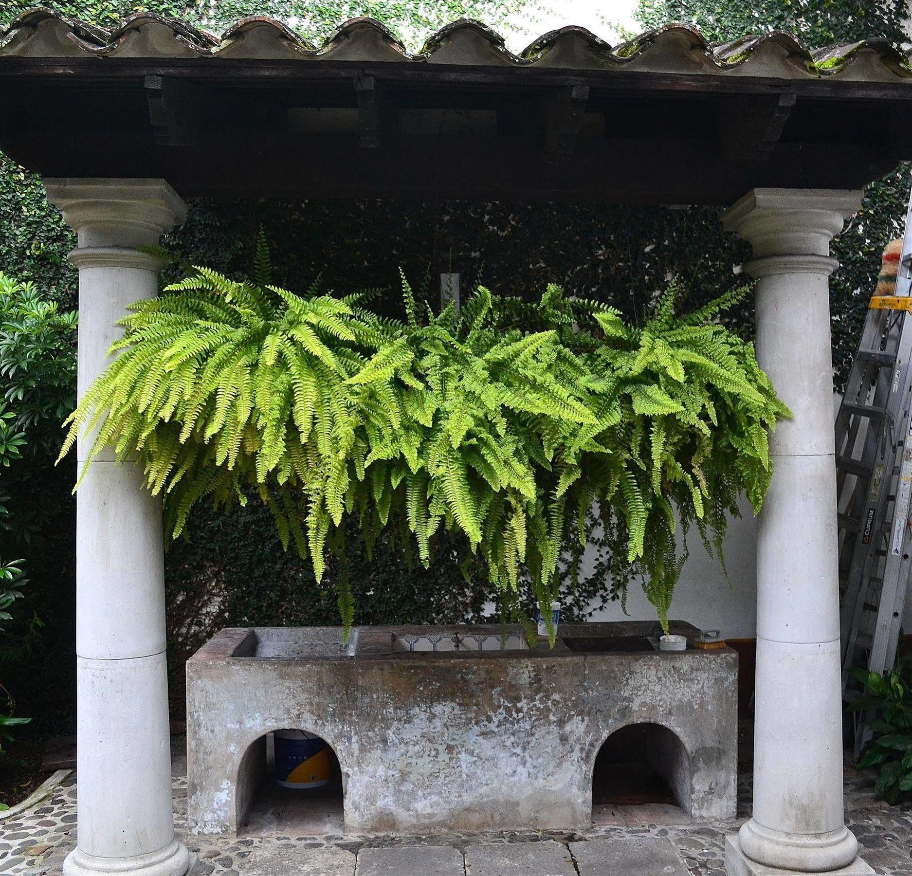 Meson Del Alferez Coatepec Hotel Luaran gambar